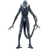 Figura Aliens 19 Cm Serie 2 Sargto Windrix,Alien y Alien Warrior Blue NC-51391 OFERTA 3 x 99,000