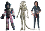 Figura Alien dallas-Ripley-Big chap S 7" NC-51593