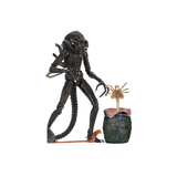 Figura Alien- 7" Warrior 1986 Neca NC-51644