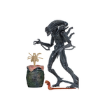 Figura Alien- 7" Warrior 1986 Neca NC-51644