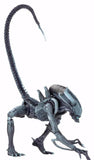 FIGURA ALIENS VS PREDATOR 18cm ARCADE NECA 4 NC-51676 3 x 138,000