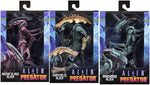 FIGURA ALIENS VS PREDATOR 18cm ARCADE NECA 4 NC-51676 3 x 138,000